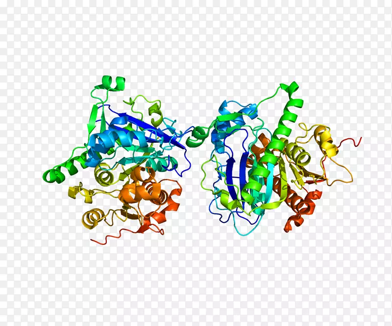 ���������л����߼�������-������