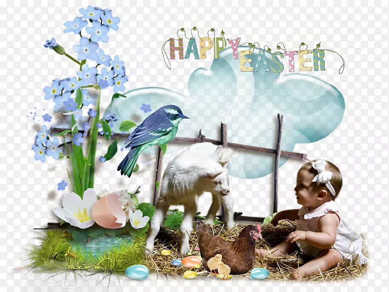 ������������ֽ���Կ���ֲ��.���-������