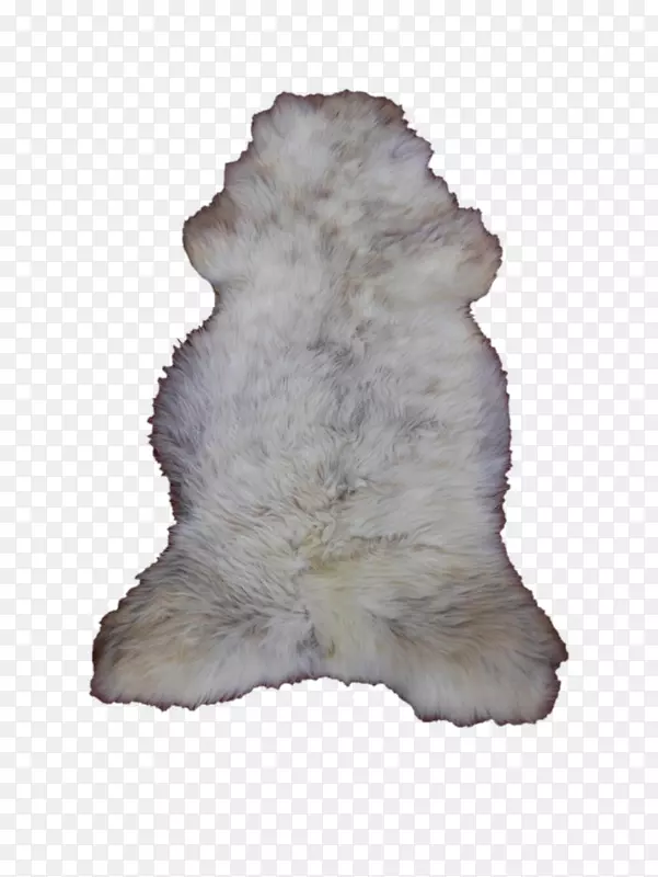 ëƤ��-������