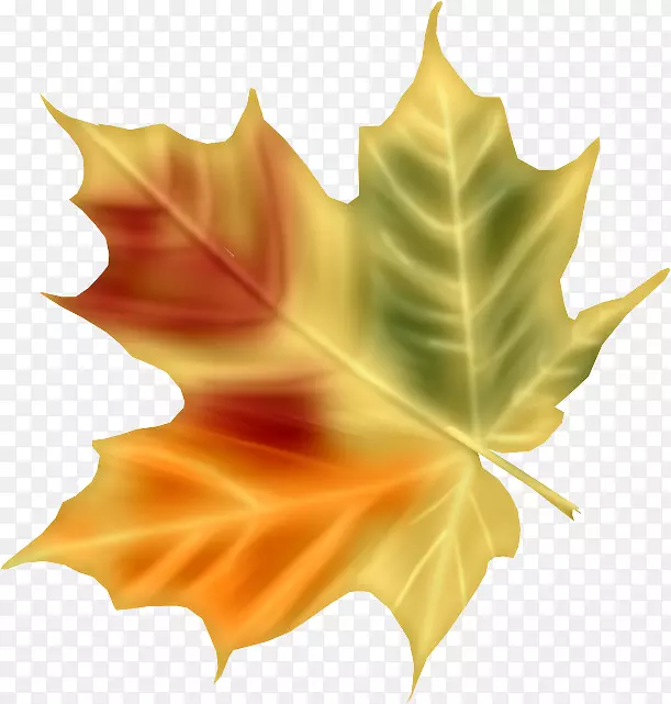 �߿����������滭������-������