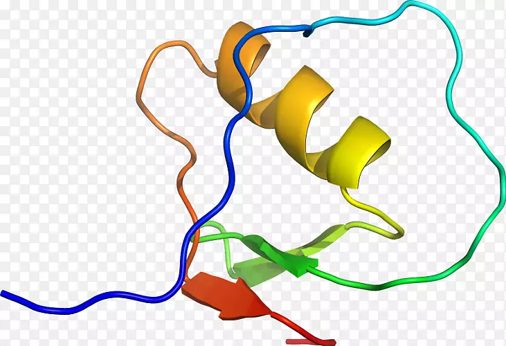 �ߵ������-��-������