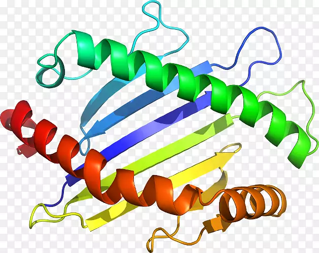 ���������л����߼�������-������