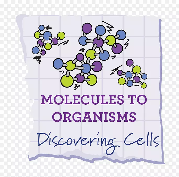 ��ѧ�����������̺���ѧ����ѧ��������ѧ-��ѧ-������