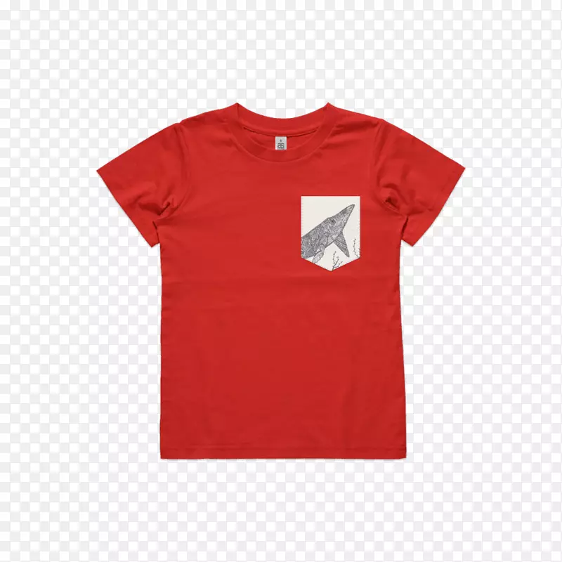 t�������������˶������·�.t��-������