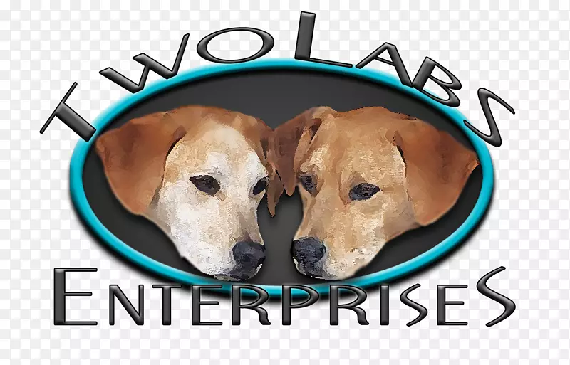 ����С������-С��-������