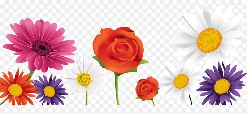 �����ջ�����л��������컨��ͨ��ɫ�ջ�-������