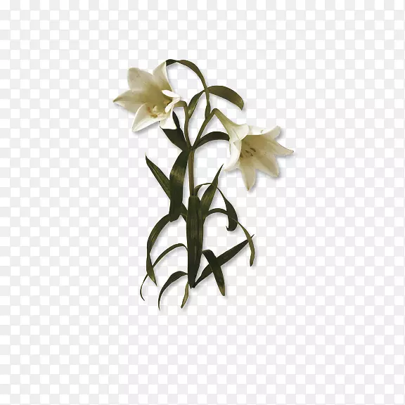 �ٺϻ�-�ٺ�-������