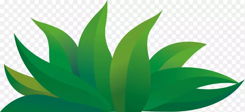 ��ɫ��ͨ��-��ͨ�̲�-������