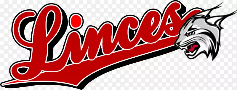 ��ɼ������Fordham�������-��쳶����ɴ��-������