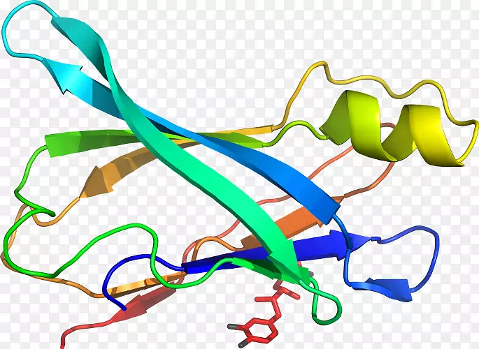 �ߵ������-��-������