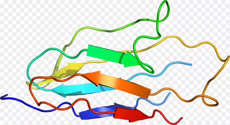 �ߵ������-��-������