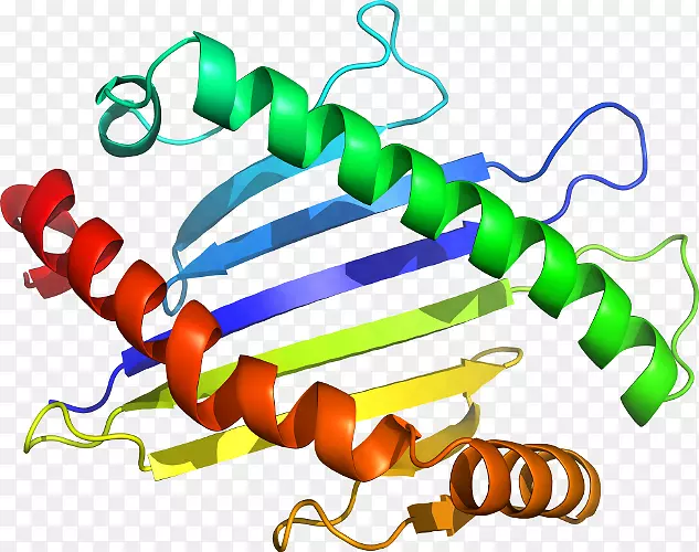 �����鱦���л����������-������