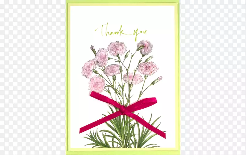 ������ƺؿ��л�ֲ�ﾥ���.���-������