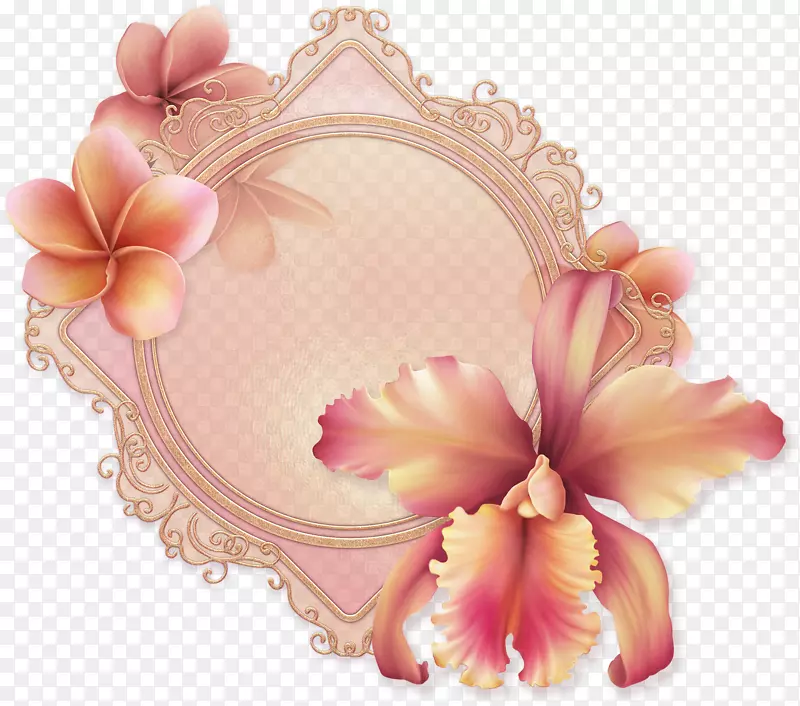 ���벩�ͼ�����-������-������