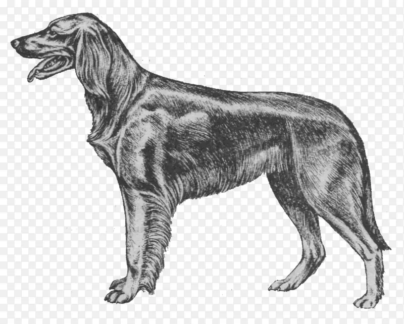 ������¬�������ֲ�����������Ȯ-������