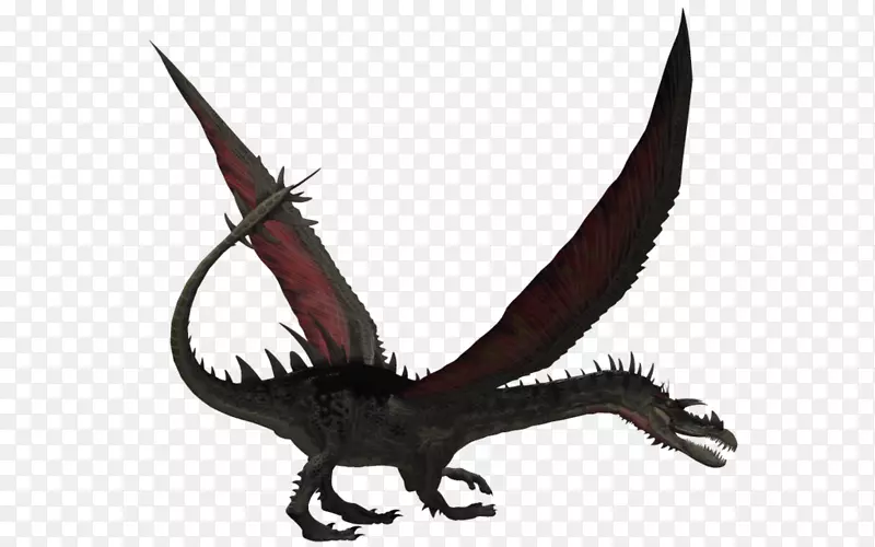 ����-��-������