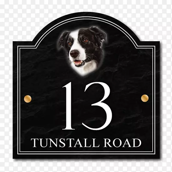 Ȯ�ֱ߾�����Ȯ����������Ȯ�Ĵ���������Ȯ�ֲ�����Ȯ-è-������