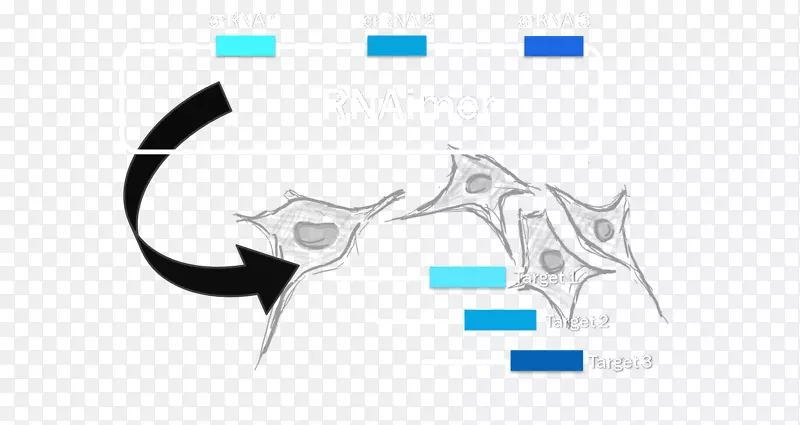 ��־Ʒ�����-������