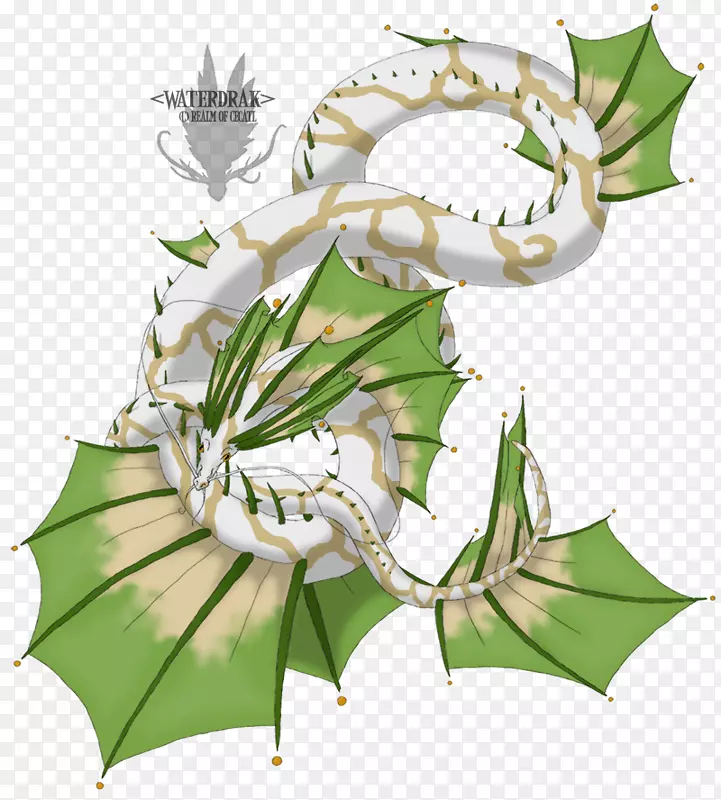 �������Ҷֲ�ﾥ����ֲ��-Ҷ-������