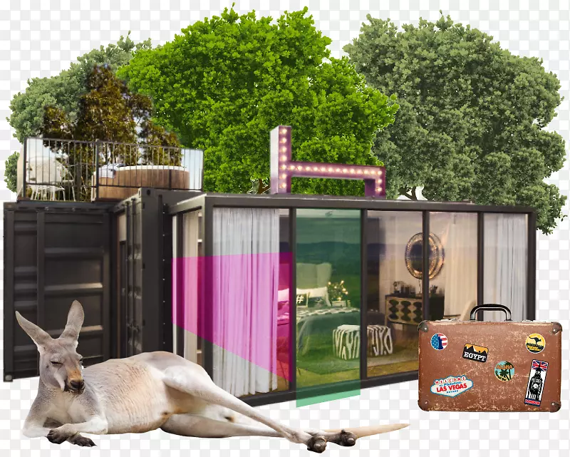 �Ƶ궯��԰�����׷����¿���˹���ݽ�ʦЭ�ᵯ��ʽ�Ƶ�-������