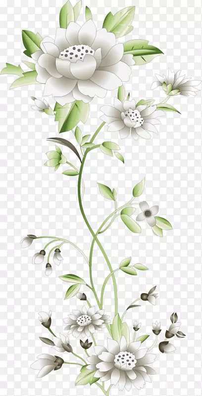 ��������л�����ֲ�ﾥ��-������