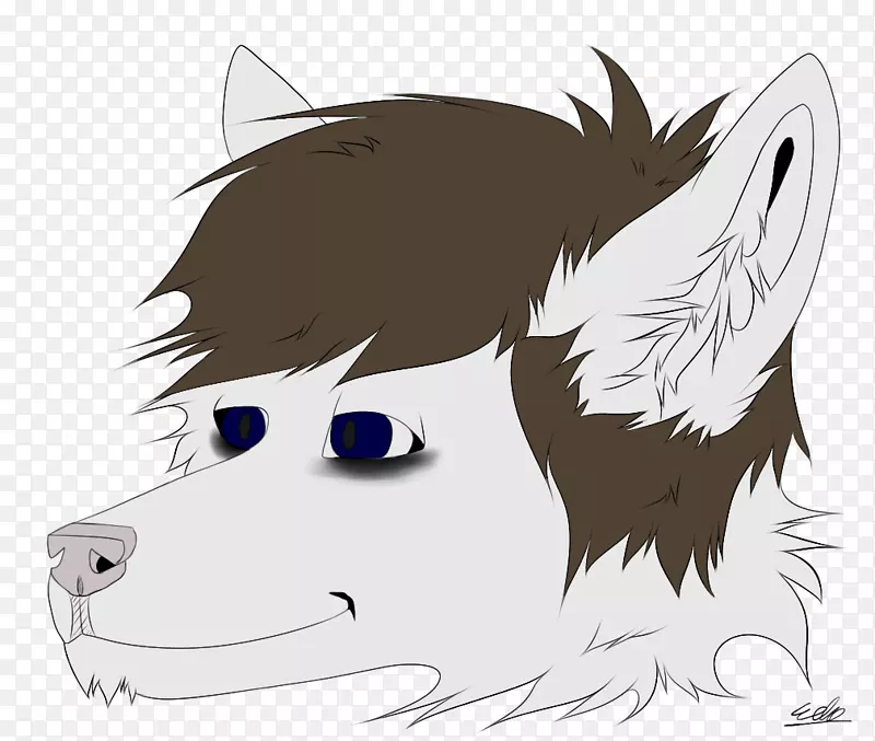 Ȯ�ǿ�ͨȮ-������