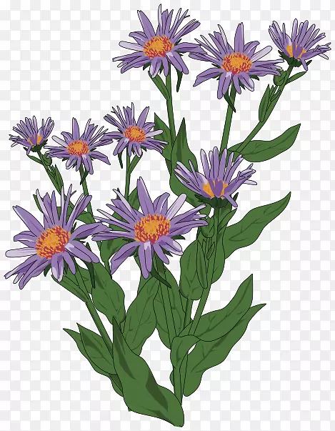 �����ţ˹������-�����ţ˹-������