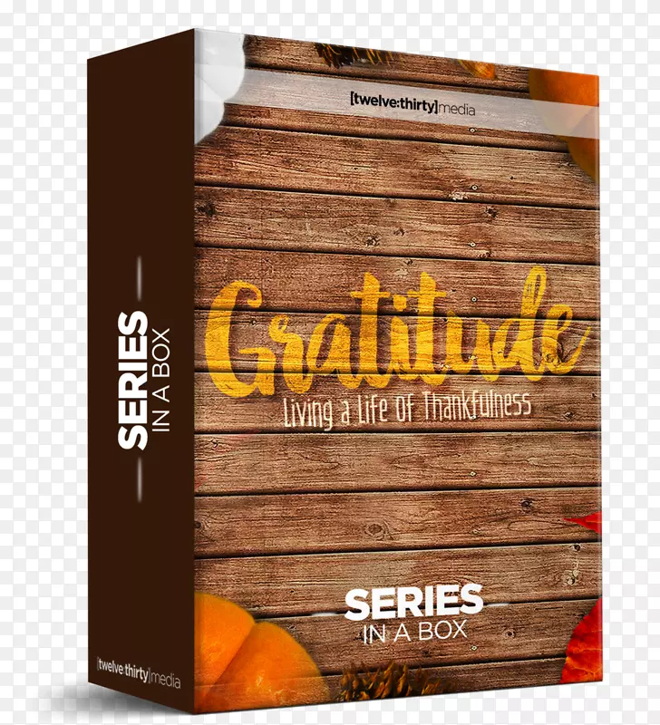 t����֢ľ��/m/083 vt���ֵ���ͯt��-������