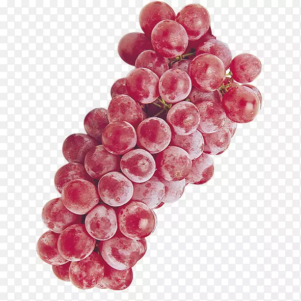 ����Zante������¸���˹-��������ĺ�����-������