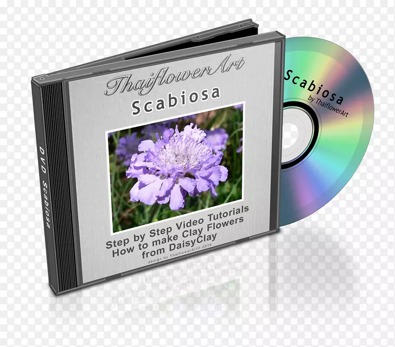 Microsoft Office 2010 Microsoft PowerPoint����-Microsoft-������