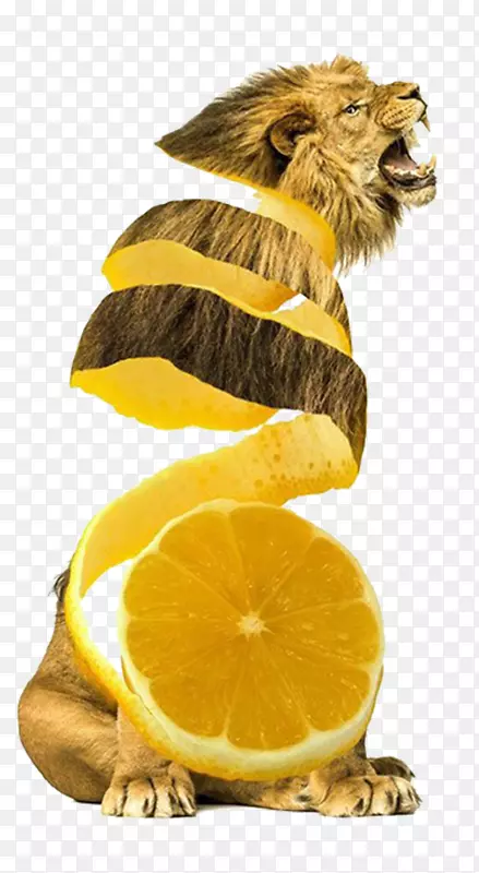 ˮ�������߲�ʳƷ.��ֵ�ˮ�����߲�ʨ��-������