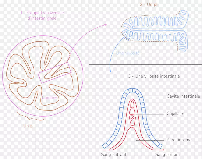 ���������-������