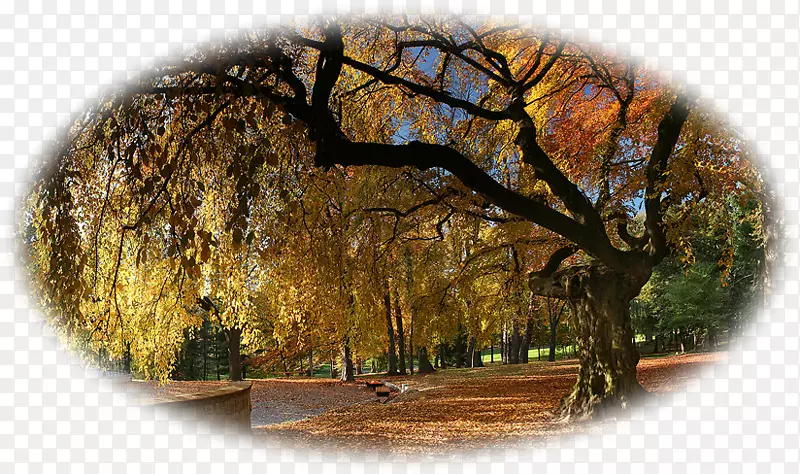 ����Ȼ-��-������