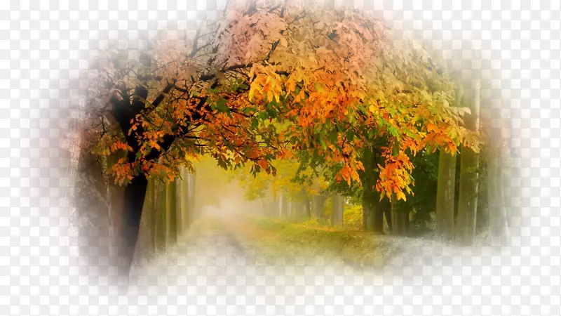 ��Ȼ�������ֽ-��-������