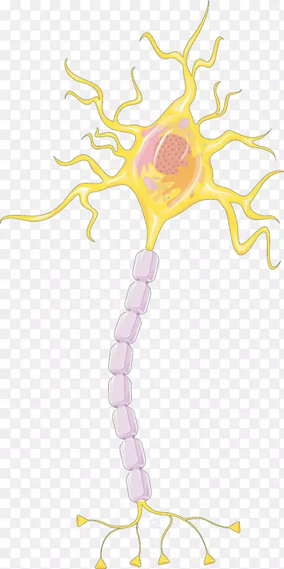 ���������-������