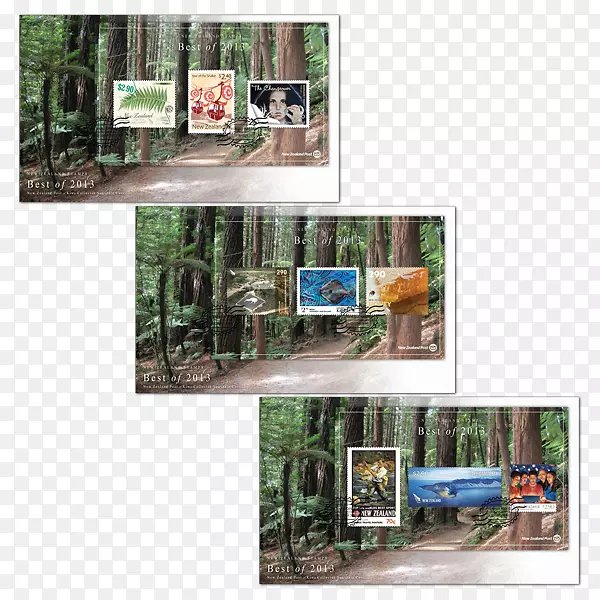 ������-����-������