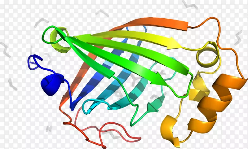 ƽ������߲˼�����-�߲�-������