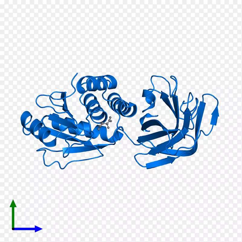 Ʒ�Ƽ��������-������