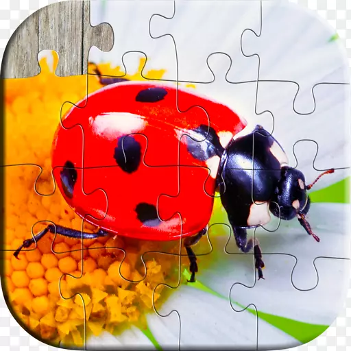 ��׿�ߺ�ƴͼ-��������������������Ϸ-��׿-������