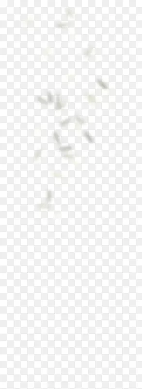 ��ɫ�����ֽ�����������-������