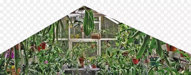 �ؿ������������-������