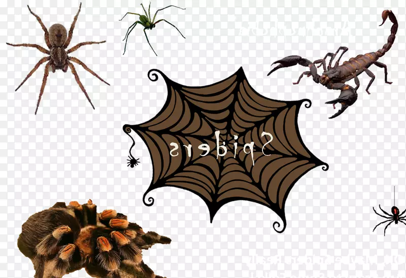 Ы������-������