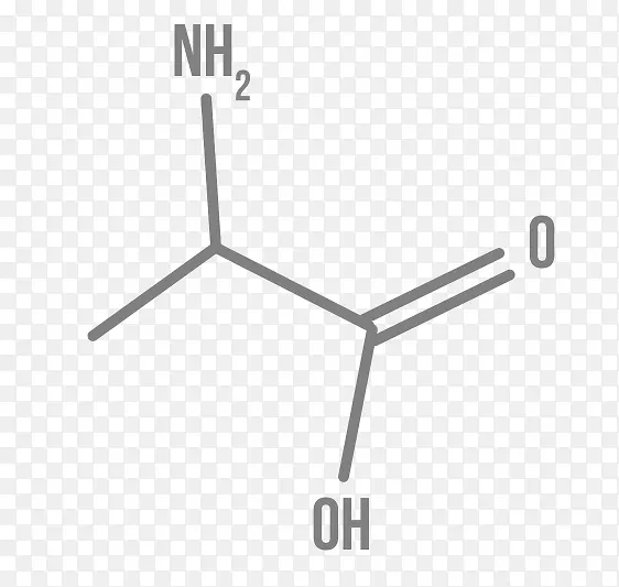 ֱ�����������-������