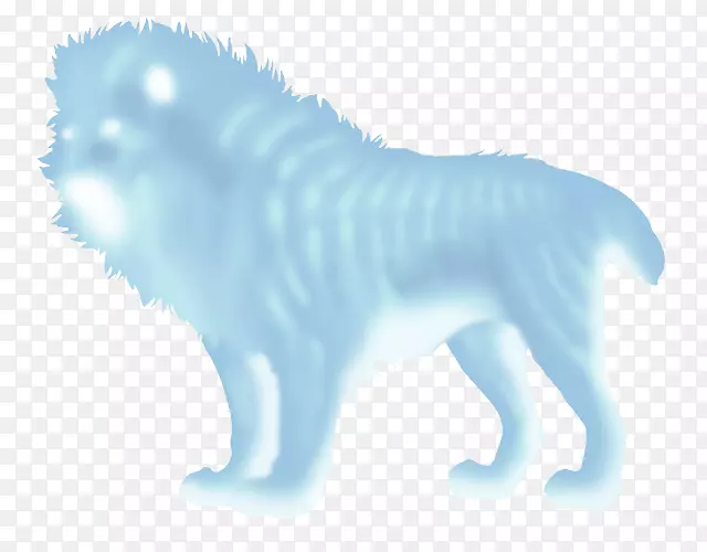 ��è�����ֽ���ӵ��Թ�-������