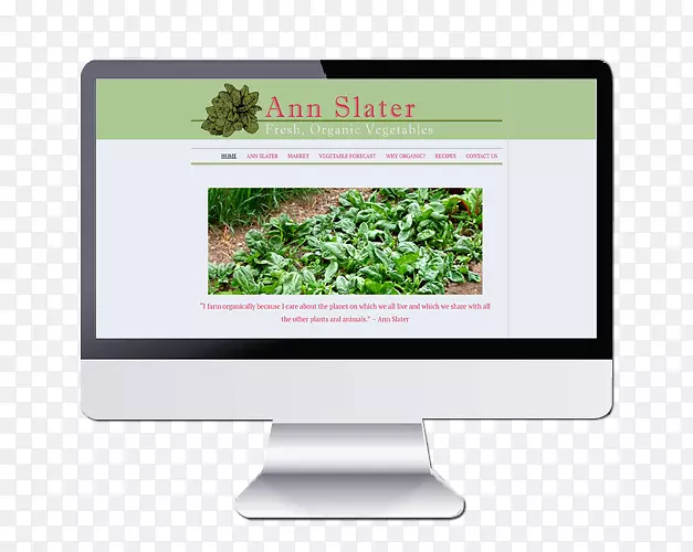 ��ý��Ʒ��-����չʾ����-������