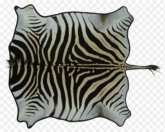 ��è½���������Ұ������-è-������