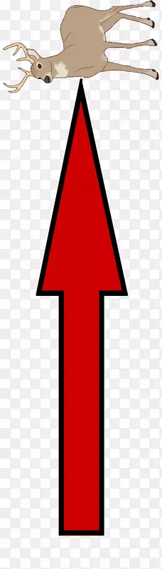 ֱ�������ε��������-������