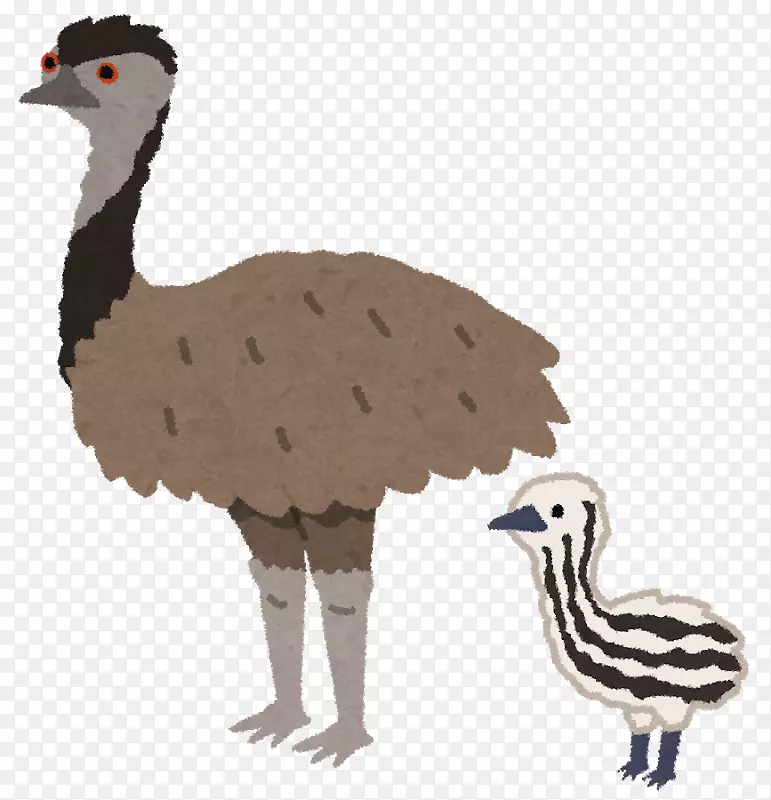 ��ͨ����-������