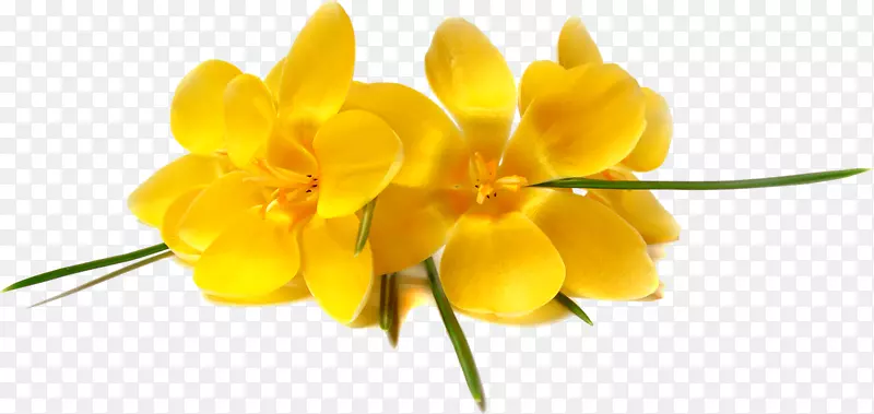 ����ڲ����˵�-������