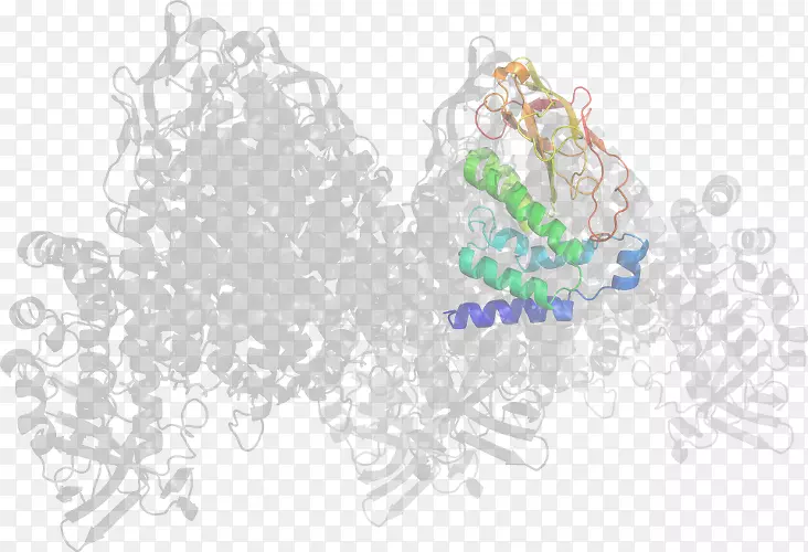 ƽ����������ֽ�����鱦��-������